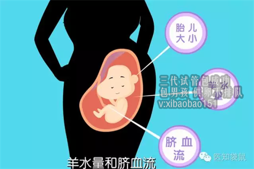 上海供卵包男孩_青岛哪家代孕便宜,单身男性可以做试管婴儿吗